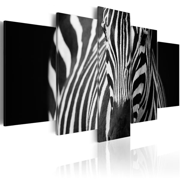 sconto Affiche - Regard Zebra Erroi