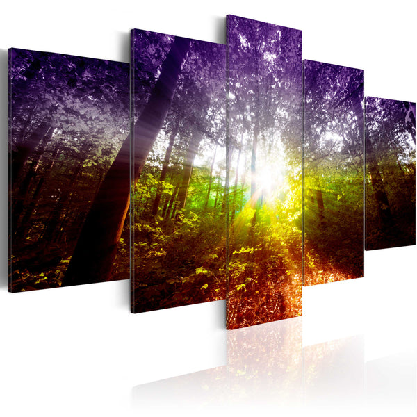 online Affiche - Rainbow Forest Erroi