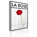 Quadro - La Rose Erroi-1