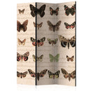 Paravento 3 Pannelli - Retro Style - Butterflies 135x172cm Erroi-1