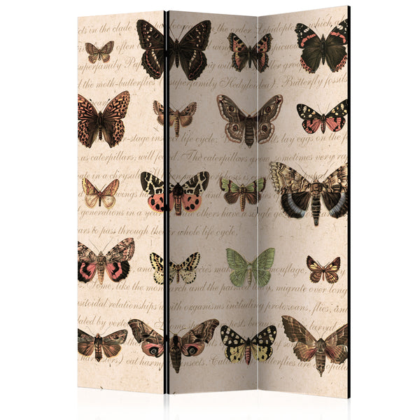 acquista Paravent 3 Panneaux - Style Rétro - Papillons 135x172cm Erroi