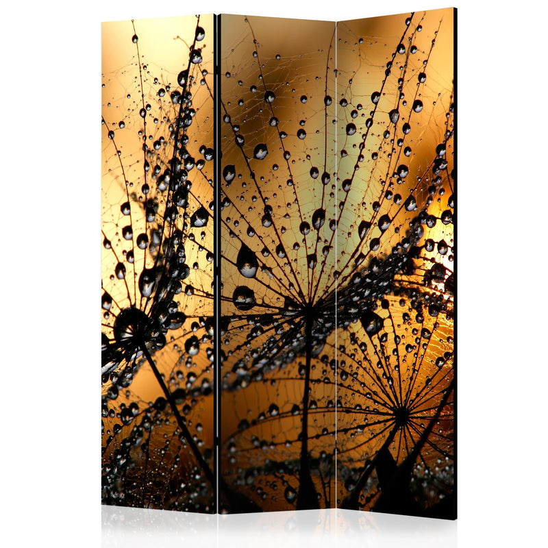 Paravento 3 Pannelli - Dandelions in The Rain 135x172cm Erroi-1