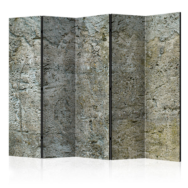 Paravent 5 Panneaux - Stony Barriere II 225x172cm Erroi online