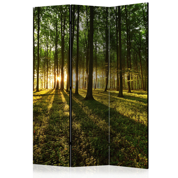 Paravent 3 Panneaux - Matin Dans La Forêt 135x172cm Erroi acquista