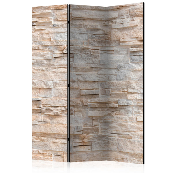 Paravent 3 Panneaux - Stony Gracefulness 135x172cm Erroi prezzo