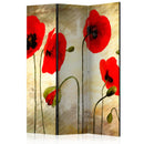 Paravento 3 Pannelli - Golden Field Of Poppies 135x172cm Erroi-1