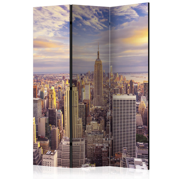 Paravent 3 Panneaux - New York Morning 135x172cm Erroi online