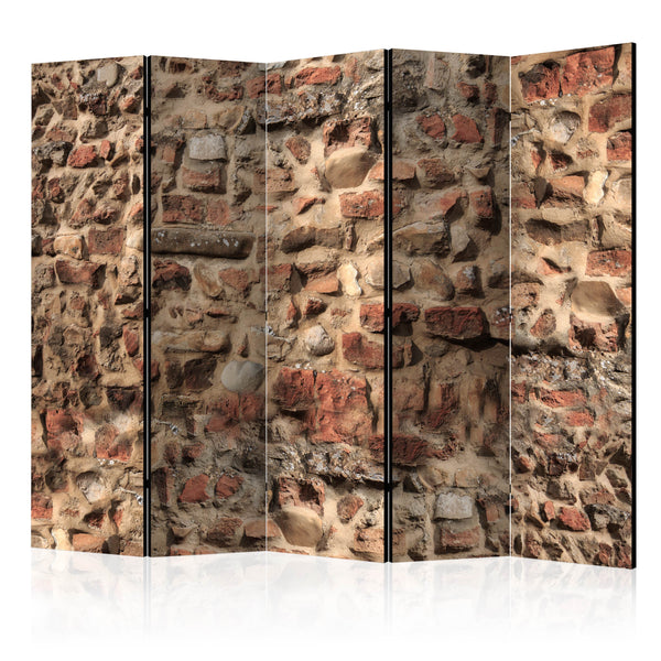 prezzo Paravent 5 panneaux - Ancient Wall II 225x172cm Erroi