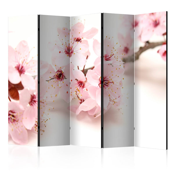 Paravent 5 Panneaux - Cherry Blossom II 225x172cm Erroi sconto