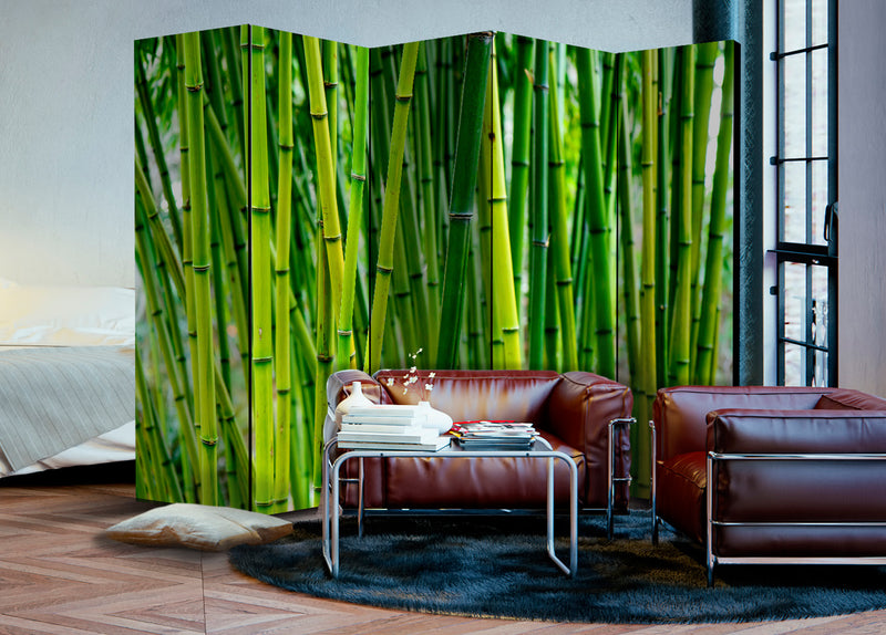 Paravento 5 Pannelli - Bamboo Forest II 225x172cm Erroi-2