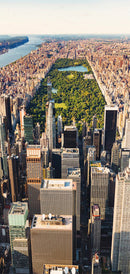 Carta da Parati Fotomurale per Porta - Central Park 90x210 cm Erroi-2