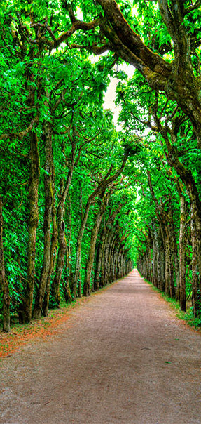 Carta da Parati Fotomurale per Porta - Mysterious Alley 90x210 cm Erroi-2