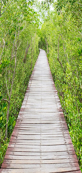 Carta da Parati Fotomurale per Porta - The Path Of Nature 100x210 cm Erroi-2