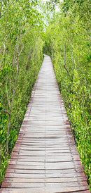 Carta da Parati Fotomurale per Porta - The Path Of Nature 70x210 cm Erroi-2