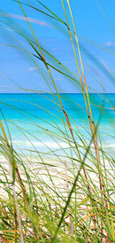 Carta da Parati Fotomurale per Porta - Summer Wind 90x210 cm Erroi-2