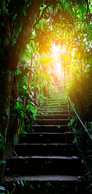 Carta da Parati Fotomurale per Porta - Stairs in The Urban Jungle i 100x210 cm Erroi-2