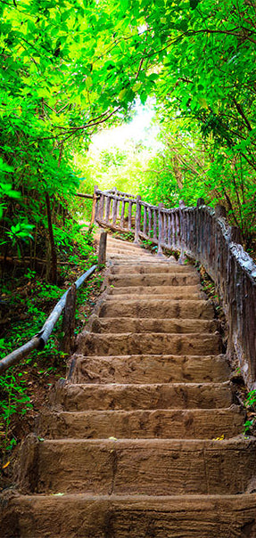 Carta da Parati Fotomurale per Porta - Stairs From Nature i 70x210 cm Erroi-2