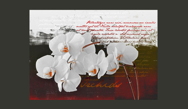 Fotomurale - Diario e Orchidea 300X210 cm Carta da Parato Erroi-2