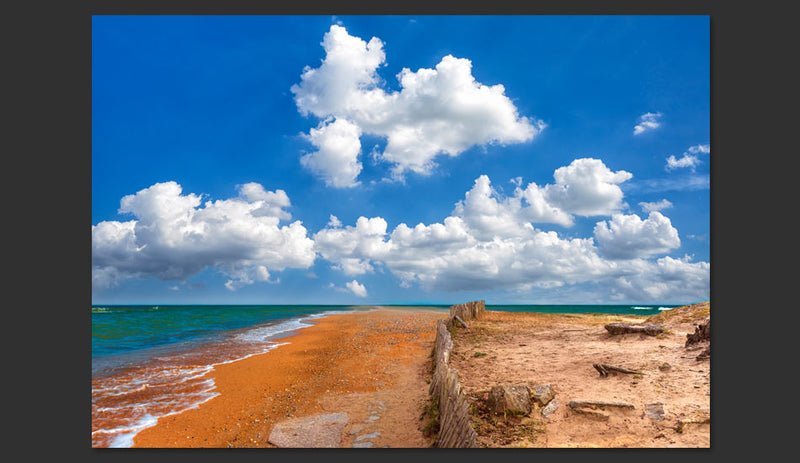 Fotomurale - Carefree Morning 300X210 cm Carta da Parato Erroi-2