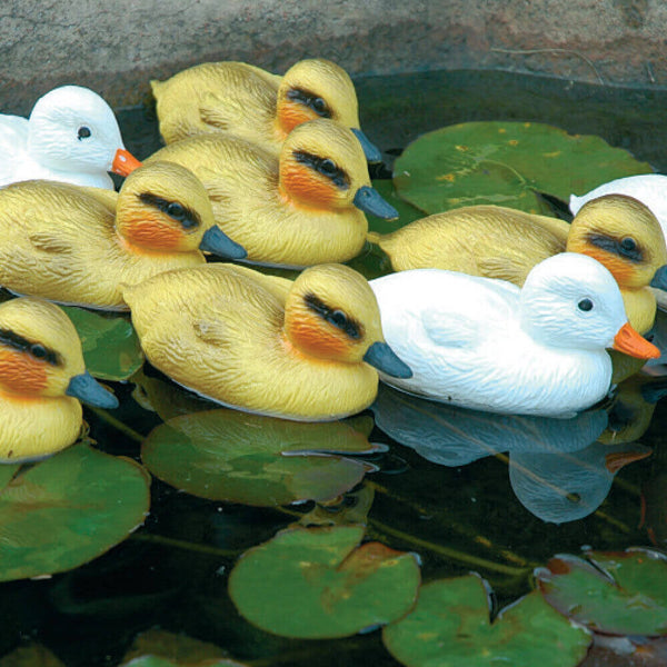 Canetons jaunes décoratifs pour bassins de jardin sconto