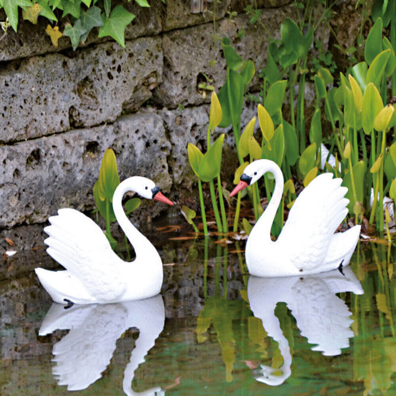 Piccolo Cigno Decorativo per Laghetti da Giardino-1