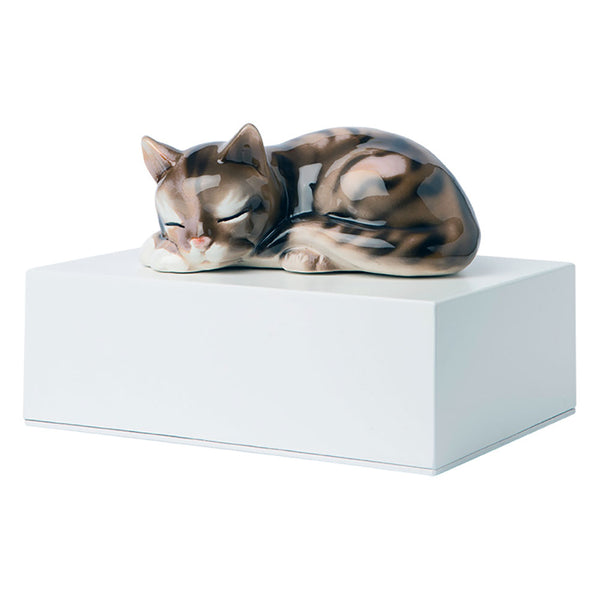 sconto Urne cinéraire en bois avec chat miniature en céramique 10x20x15cm GMF Blanc