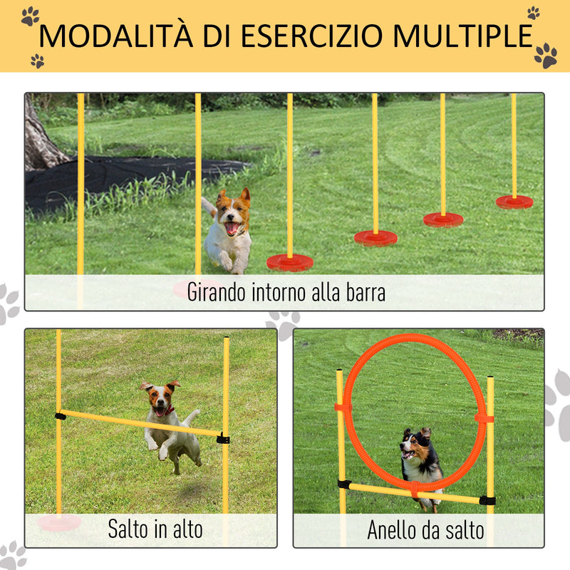 Set Addestramento per Cani con Paletti e Anello  Agility Dog-5