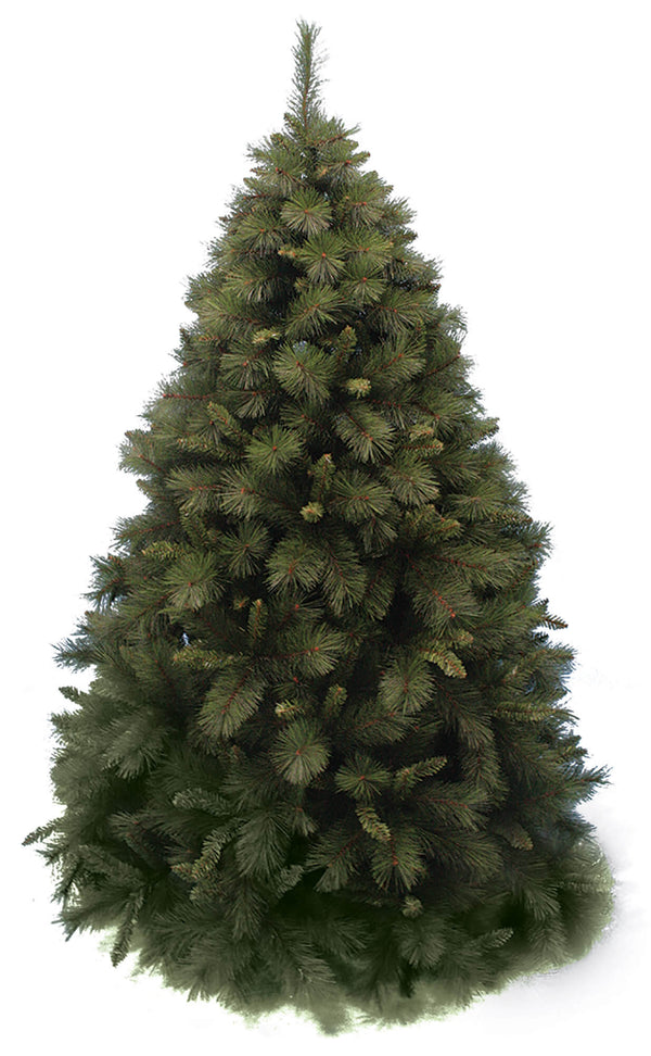 Sapin de Noël vert Palmalux prezzo