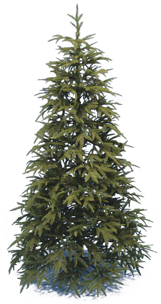 acquista Sapin de Noël Pin Very Tree Vert