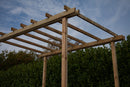 Pergola Autoportante 240x240 cm in Legno-4