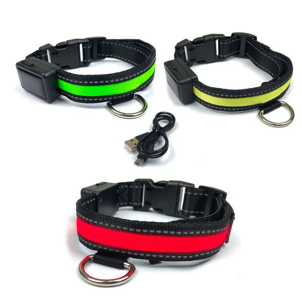 Collier lumineux LED Taille M pour chien avec recharge solaire et USB Jaune sconto