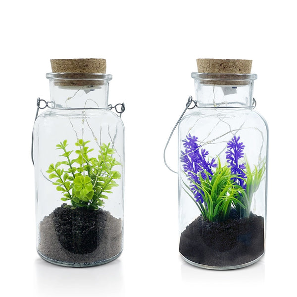 prezzo Bocal en Verre avec Plante Décorative et Mini Lucioles Led avec Anse