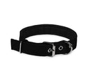 Collare per Cani Phoenix con Fibbia regolabile Razza Piccola in Nylon Regolabile Nero-1