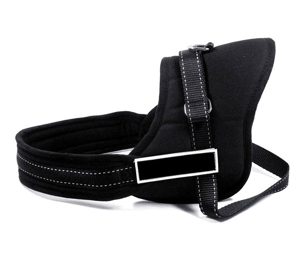 Harnais de dressage rembourré Taille M pour chiens réglable Noir prezzo