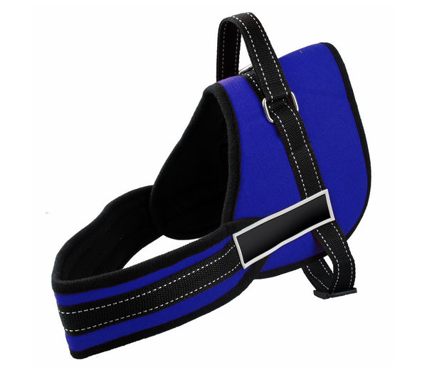 acquista Taille L Harnais de Dressage Rembourré pour Chiens Réglable Bleu