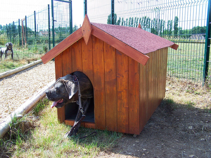 Cuccia per Cani Taglia Piccola 70x110x75 cm in Legno Massello Naturale -2