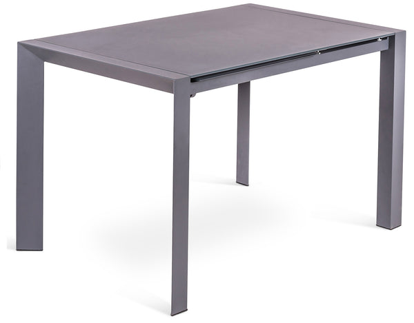 prezzo Table Extensible 122/182x80x76 cm en Métal avec Plateau en Verre Gris