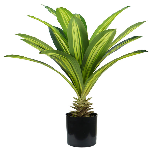 Plante Artificielle Dracaena H60 cm avec Pot Vert acquista