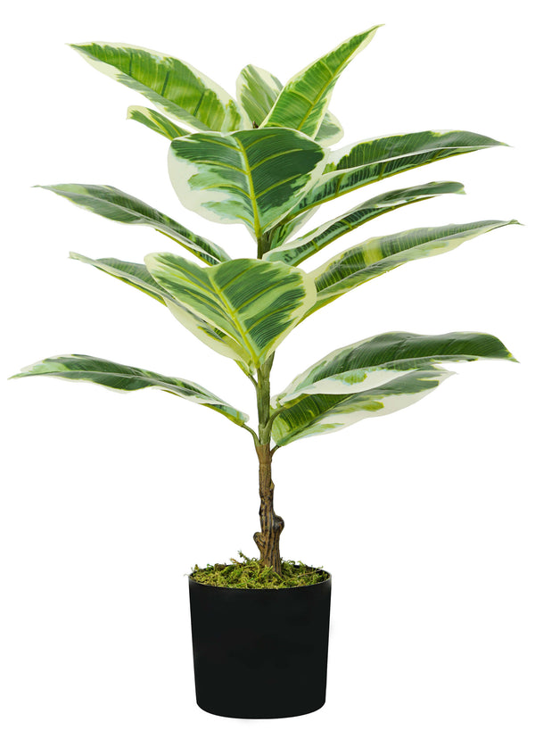 Plante Artificielle Ficus Elastica H65 cm avec Pot Vert acquista