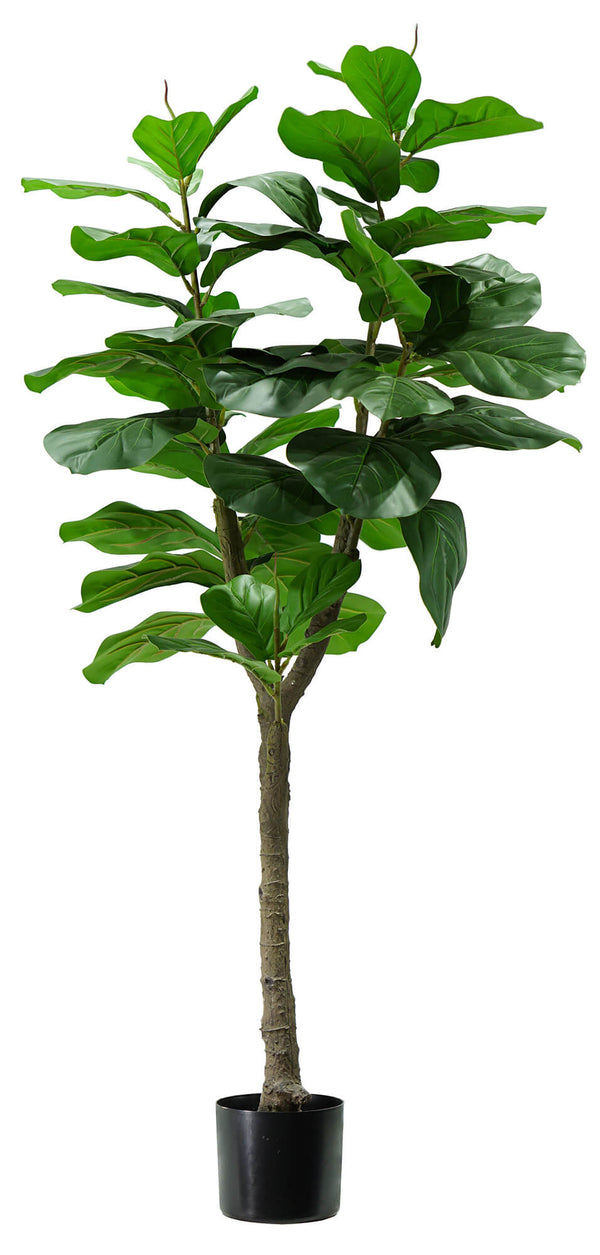 prezzo Plante Artificielle Ficus Lyrata H130 cm avec Pot Vert