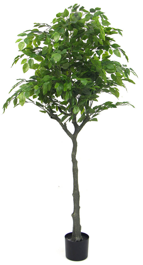 Plante Artificielle H160 cm Ficus avec Pot Vert online