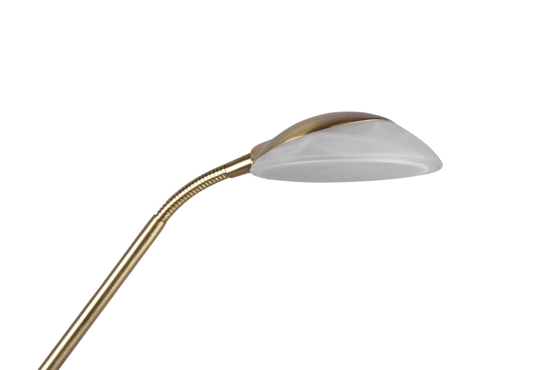 Piantana da Interno a LED in Metallo Ottone Opaco-6