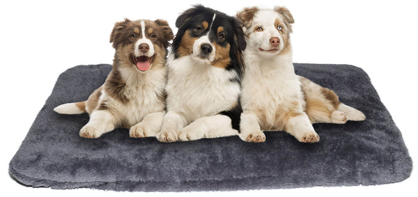 acquista Tapis pour Chiens et Chats Gris Différentes Tailles