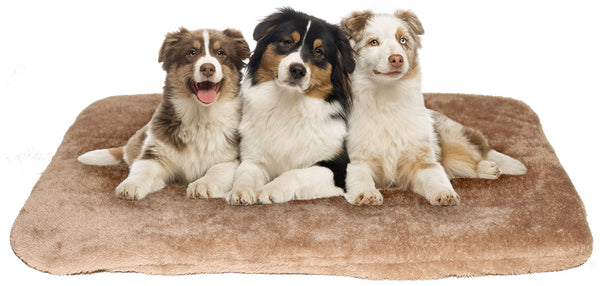 Tapis pour Chiens et Chats Marron Différentes Tailles sconto