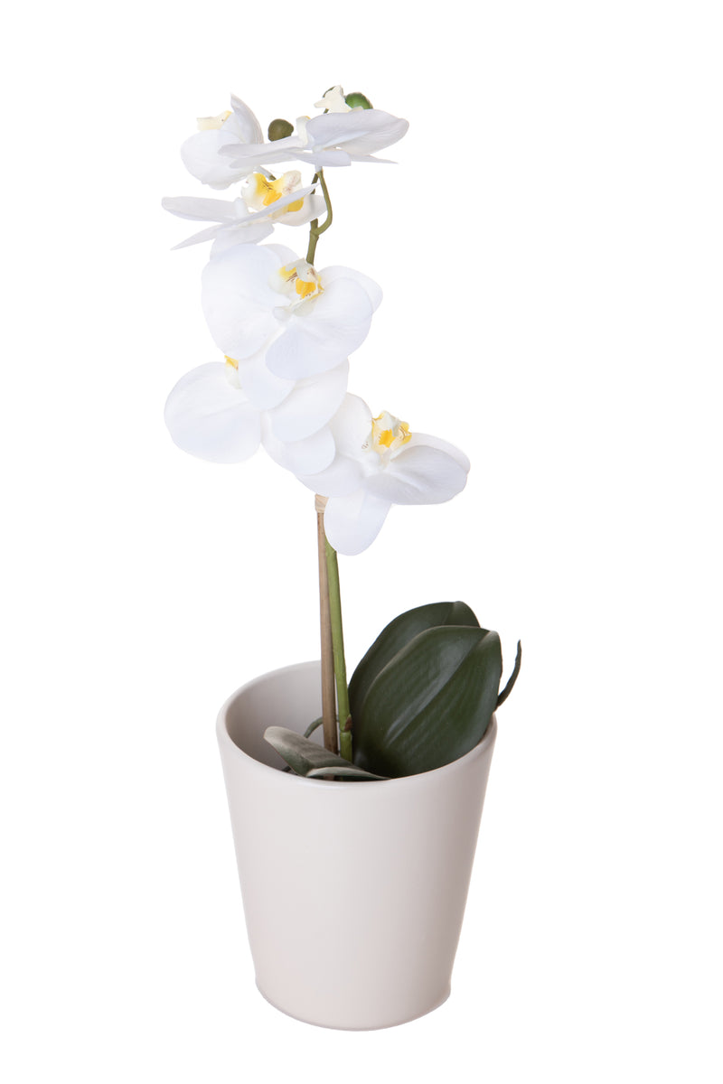Set 3 Vasi Orchidea Ø 12x14 cm-3