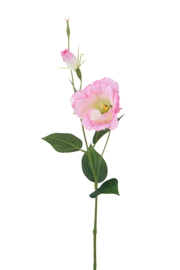 sconto Lot de 12 Branches de Lisianthus Artificielles 2 Fleurs H 60 cm