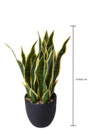 Pianta Artificiale Sanseveria con Vaso 48 cm -2