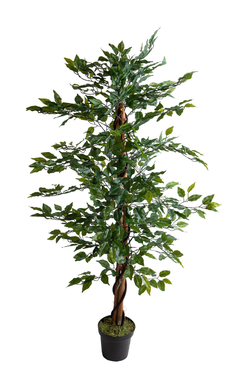 Pianta Artificiale Ficus Tree con Vaso 150 cm -1