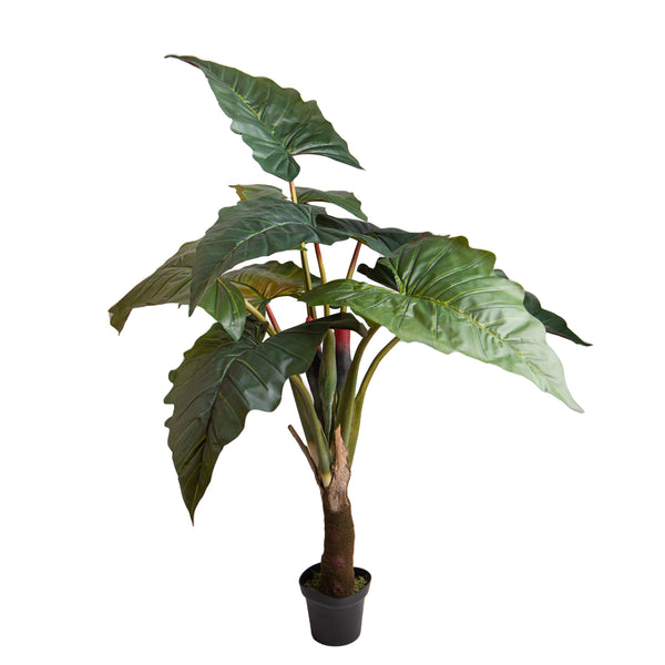 sconto Colocasia Esculenta H 165 cm