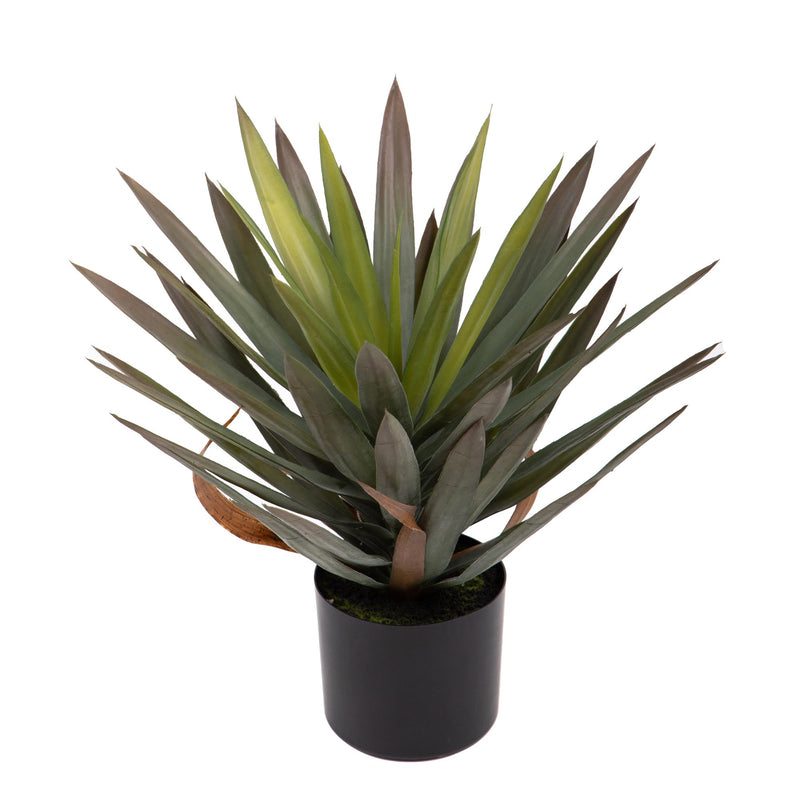 Pianta Artificiale Yucca Gloriosa 48 cm con Vaso-1